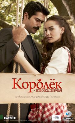 Королёк - птичка певчая 2013