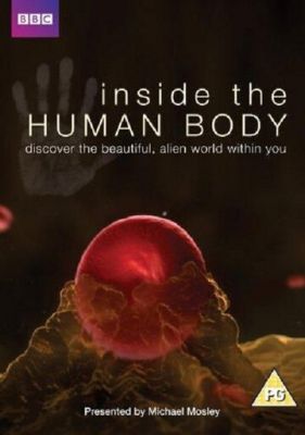 Внутри человеческого тела 2011