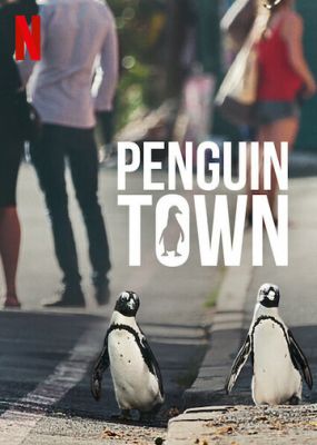 Город пингвинов 2021
